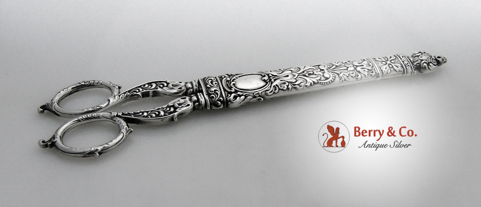 Sterling Silver 10 3/4 Inch Scissors in a Case Dominick And Haff 1890