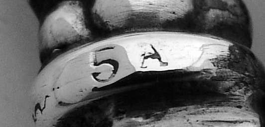 Sterling Silver 10 3/4 Inch Scissors in a Case Dominick And Haff 1890