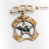 Vintage Daughters Of Rebekah Odd Fellows Peace Dove Medal Pin 10k Gold & Silver Gold