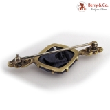 Art Nouveau Bar Pin Brooch 14 K Gold Carved Lapis Bird Design