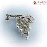 Grape Vine Pearl Brooch 14 K Yellow Gold 16 Pearls